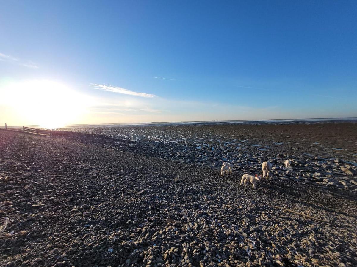 Wierums Huske Aan De Waddenzee Unesco Werelderfgoed Ngoại thất bức ảnh