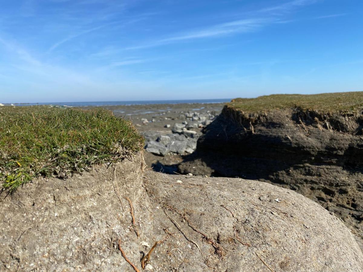 Wierums Huske Aan De Waddenzee Unesco Werelderfgoed Ngoại thất bức ảnh