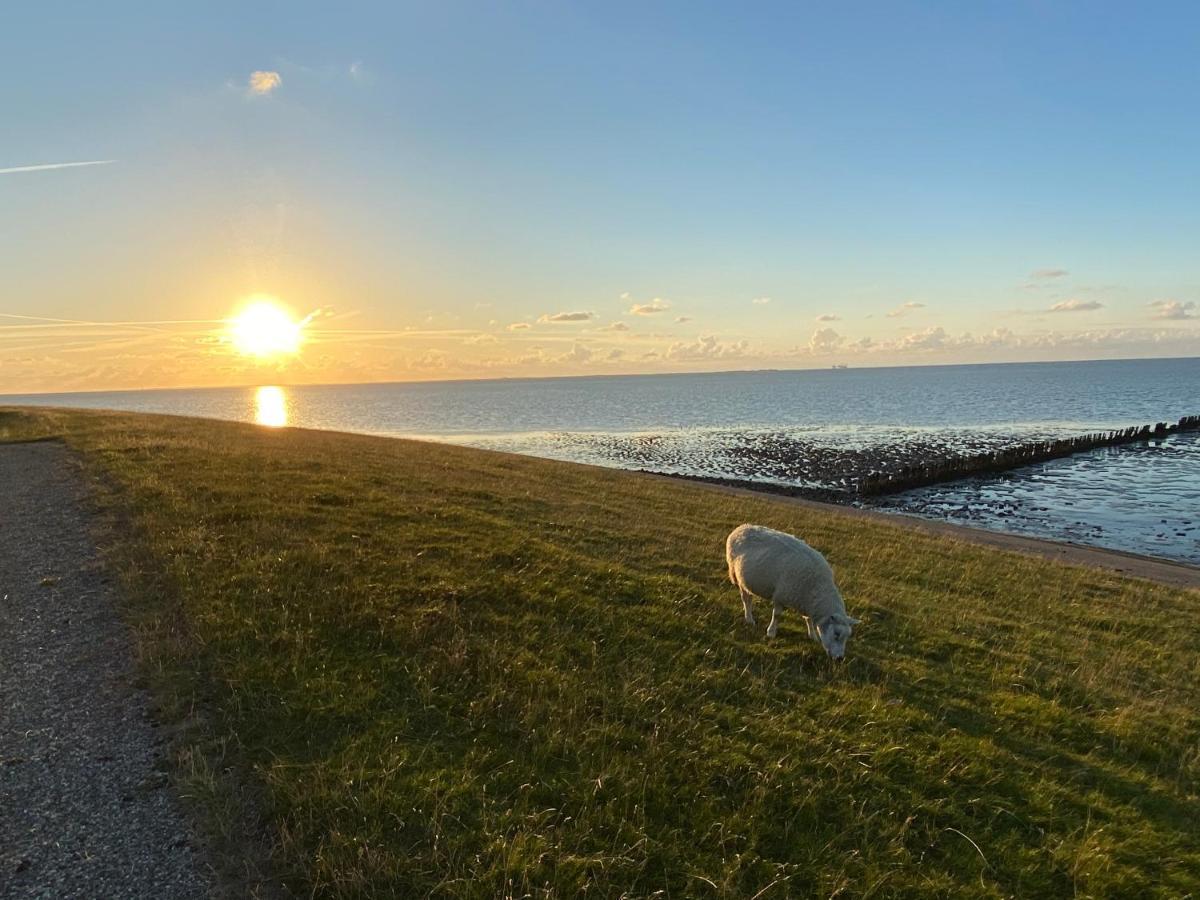 Wierums Huske Aan De Waddenzee Unesco Werelderfgoed Ngoại thất bức ảnh