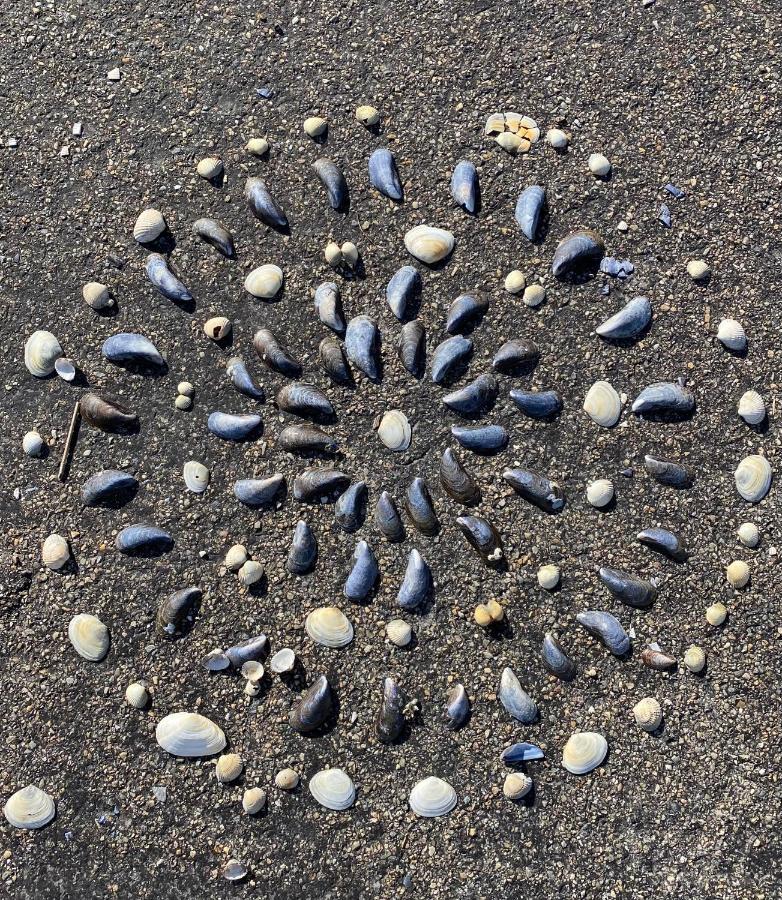 Wierums Huske Aan De Waddenzee Unesco Werelderfgoed Ngoại thất bức ảnh